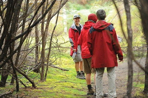 Great Walks Of Australia: 4-Day Freycinet Experience Walk - Sunshine Coast Tourism 7
