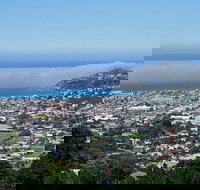 Hobart Shore Excursion Small Group Mount Wellington 3-Hour Bike Tour - Sunshine Coast Tourism