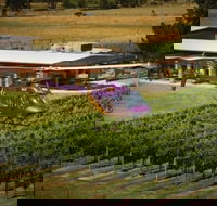 Home Hill Winery Helicopter Tour - Sunshine Coast Tourism