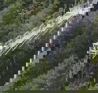 Cruise Ship Special from Hobart Mt Wellington and Tahune AirWalk - Sunshine Coast Tourism