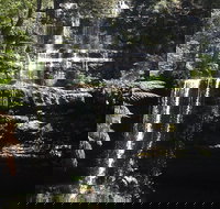 Private Mt Field National Park Day Trip from Hobart Including Salmon Ponds and Bonorong Wildlife Sanctuary - Sunshine Coast Tourism