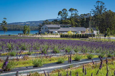Private Port Arthur Historic Site Day Trip From Hobart - Holiday Sunshine Coast 1