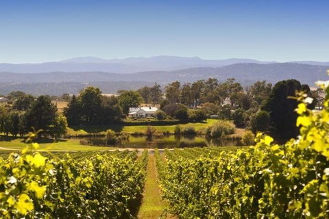 Josef Chromy Wines Winery Tour Including Tasting And Lunch - Holiday Sunshine Coast 0