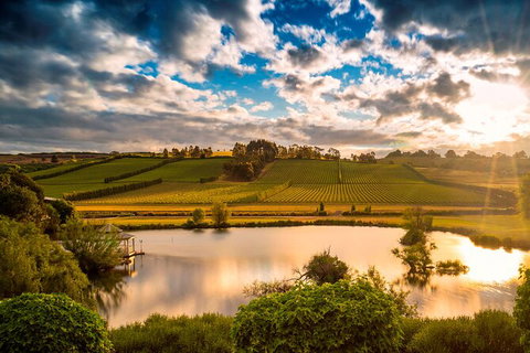 Josef Chromy Wines Winery Tour Including Tasting And Lunch - Holiday Sunshine Coast 2