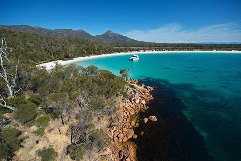 Wineglass Bay Cruise From Coles Bay - Sunshine Coast Tourism 5