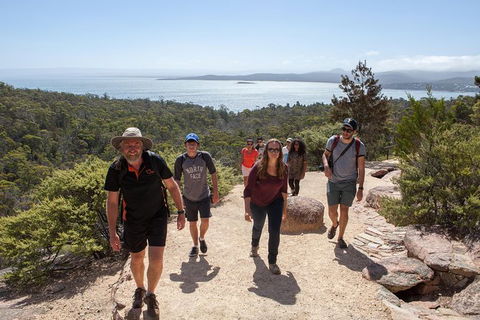 Active Day Tour One-Way From Hobart To Launceston With Wineglass Bay - Sunshine Coast Tourism 3