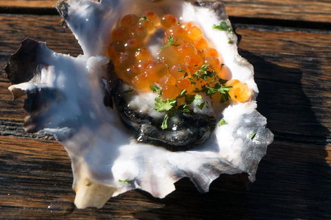 East Coast Splendour Gourmet Food Tour - Holiday Sunshine Coast 7