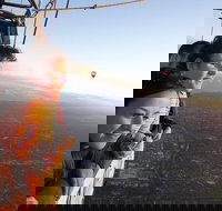 Balloon Flights in Northern Tasmania - Holiday Sunshine Coast