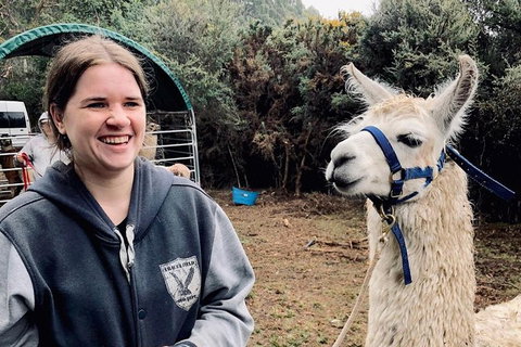 Farm Visit - Holiday Sunshine Coast 0