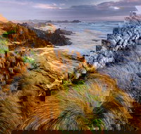 4-Day Tarkine Wilderness Photography Workshop - Holiday Sunshine Coast