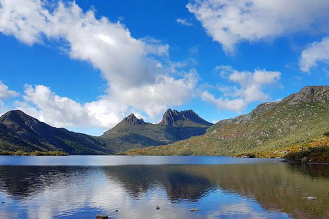 Tasmania 13 Day Premium Tour - Holiday Sunshine Coast 0