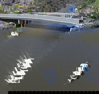 2.50 hour Afternoon Discovery Cruise including Cataract Gorge departing at 3 pm - Holiday Sunshine Coast