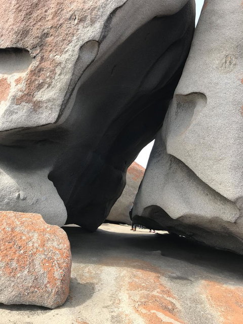 Kangaroo Island In A Day Tour From Adelaide - Holiday Sunshine Coast 7