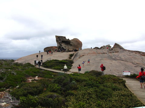 Kangaroo Island In A Day Tour From Adelaide - Holiday Sunshine Coast 21