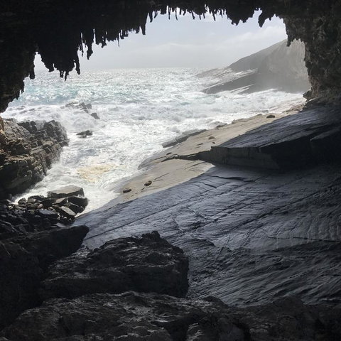 Kangaroo Island In A Day Tour From Adelaide - Holiday Sunshine Coast 5