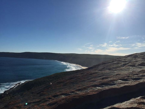 Kangaroo Island In A Day Tour From Adelaide - Holiday Sunshine Coast 17