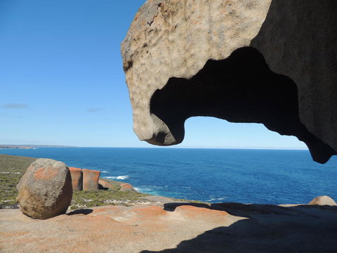 Kangaroo Island In A Day Tour From Adelaide - Holiday Sunshine Coast 13