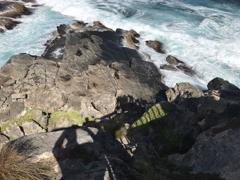 Kangaroo Island In A Day Tour From Adelaide - Holiday Sunshine Coast 3