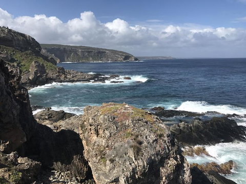 Kangaroo Island In A Day Tour From Adelaide - Holiday Sunshine Coast 4