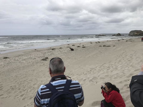 Kangaroo Island In A Day Tour From Adelaide - Holiday Sunshine Coast 10