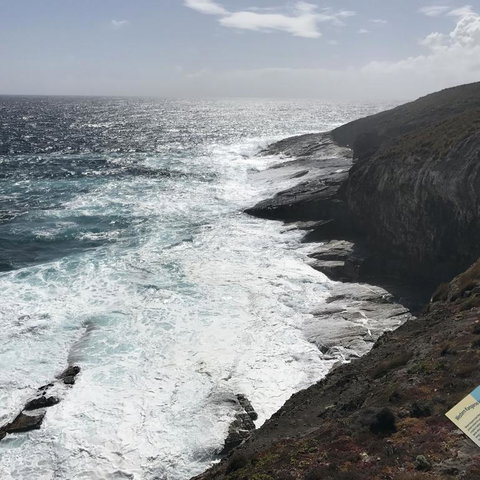 Kangaroo Island In A Day Tour From Adelaide - Holiday Sunshine Coast 6