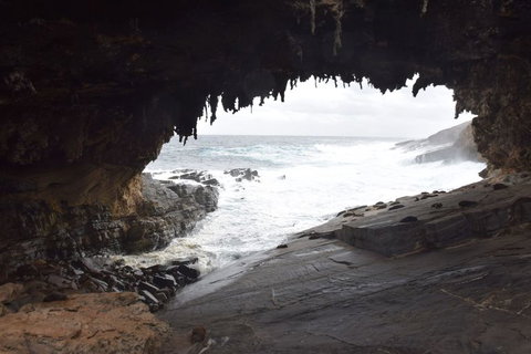 Kangaroo Island In A Day Tour From Adelaide - Holiday Sunshine Coast 18