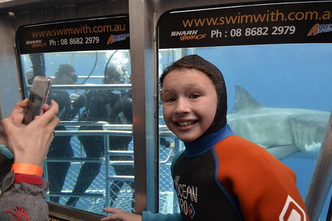 White Shark Tour With Optional Cage Dive From Port Lincoln - Holiday Sunshine Coast 8