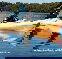 Adelaide Dolphin Sanctuary and Ships Graveyard Kayak Tour - Holiday Sunshine Coast