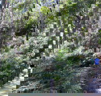 Self-Guided Waterfall Gully to Mount Lofty Hike from Adelaide - Holiday Sunshine Coast