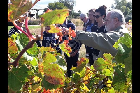 Barossa Valley Via Hahndorf ( Historical German Village ) Inc Maggie Beers Farm - Holiday Sunshine Coast 4
