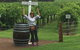 Barossa Valley Via Hahndorf ( Historical German Village ) Inc Maggie Beers Farm - thumb 9
