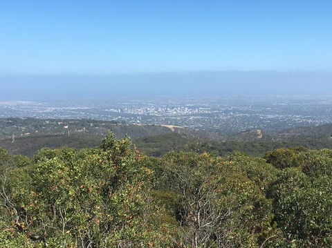 Adelaide Hills And Hahndorf Tour From Adelaide With Wine And Cheese Tasting - Sunshine Coast Tourism 8