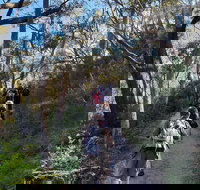 Mount Lofty Hike and Cleland Wildlife Park Day Trip from Adelaide - Holiday Sunshine Coast