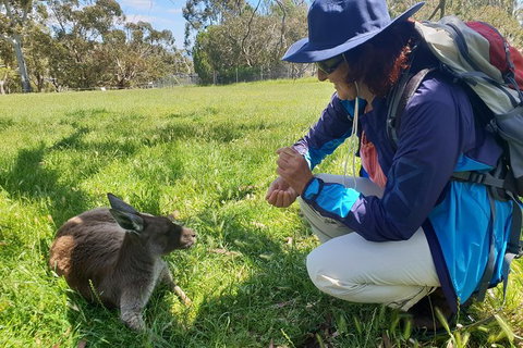 Mount Lofty Hike And Cleland Wildlife Park Day Trip From Adelaide - Holiday Sunshine Coast 6