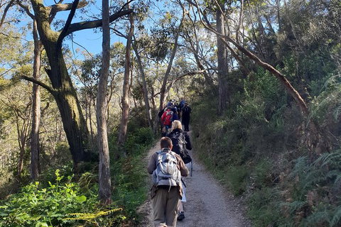 Mount Lofty Hike And Cleland Wildlife Park Day Trip From Adelaide - Holiday Sunshine Coast 2