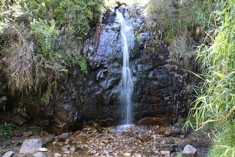 Mount Lofty Hike And Cleland Wildlife Park Day Trip From Adelaide - Holiday Sunshine Coast 7