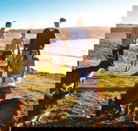 5-Day Adelaide and Kangaroo Island Tour Including Barossa Valley Wine Tasting - Holiday Sunshine Coast