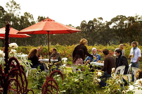 Clare Valley Intimate Winery Tour By Private Limo From Adelaide - Holiday Sunshine Coast 4