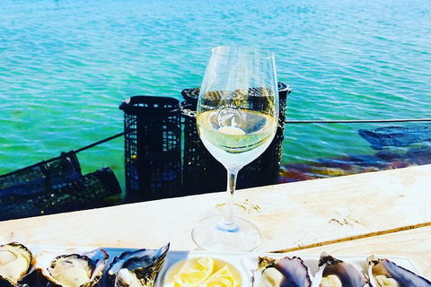Coffin Bay Oyster Farm & Tasting Tour - Holiday Sunshine Coast 11
