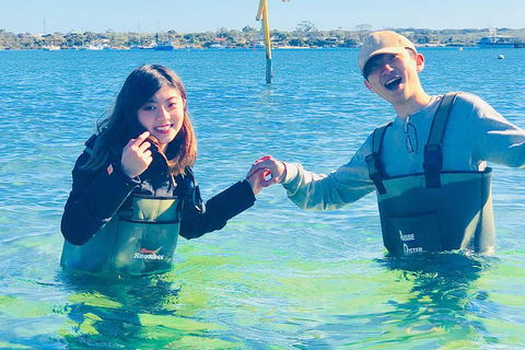 Coffin Bay Oyster Farm & Tasting Tour - Holiday Sunshine Coast 4