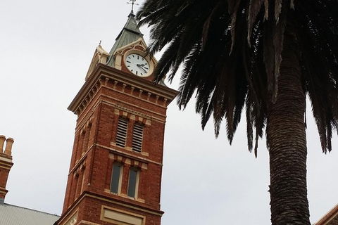 Adelaide Walking Tour: Hills, Squares And Parklands - Sunshine Coast Tourism 5