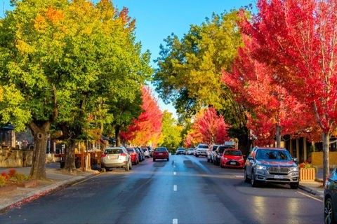 Adelaide City Highlights With Hahndorf And Mt. Lofty - Sunshine Coast Tourism 7