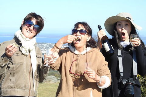 Coffin Bay Day Tour - A Taste Of Coffin Bay - Holiday Sunshine Coast 7