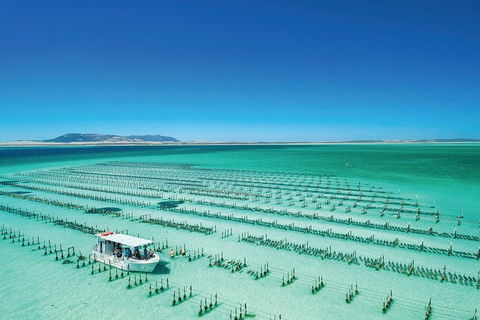 Coffin Bay Day Tour - A Taste Of Coffin Bay - Holiday Sunshine Coast 2