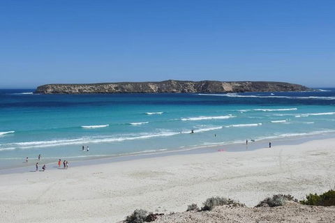 Coffin Bay Day Tour - A Taste Of Coffin Bay - Holiday Sunshine Coast 12