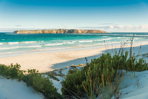 Coffin Bay Day Tour - A Taste Of Coffin Bay - Holiday Sunshine Coast 13