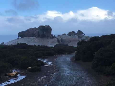 2-Day Kangaroo Island Tour From Adelaide - Sunshine Coast Tourism 20