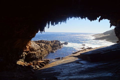 2-Day Kangaroo Island Tour From Adelaide - Sunshine Coast Tourism 10