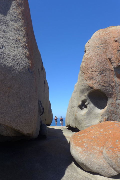 2-Day Kangaroo Island Tour From Adelaide - Sunshine Coast Tourism 7