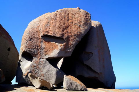 2-Day Kangaroo Island Tour From Adelaide - Sunshine Coast Tourism 11